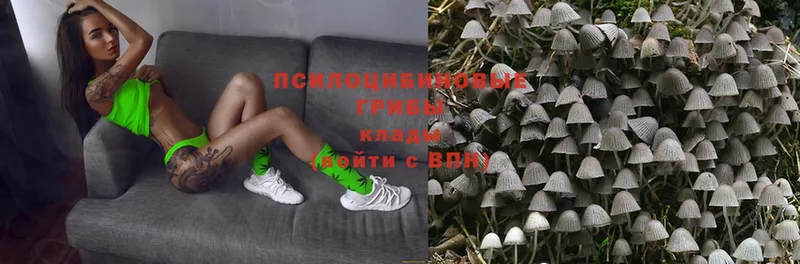 Псилоцибиновые грибы Magic Shrooms  Аркадак 